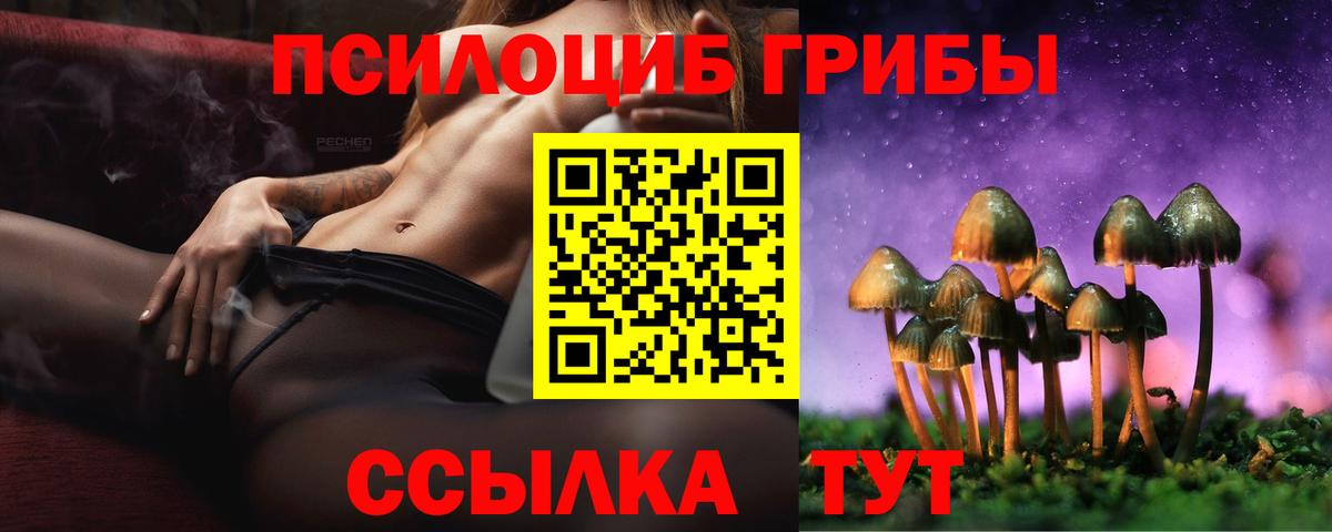 Галлюциногенные грибы прущие грибы Энгельс
